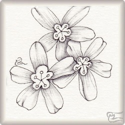 Muster Alima von Marta Blanco CZT, ein Muster geeignet für Zentangle® and Zentangle® inspired art, präsentiert in der Musterquelle
