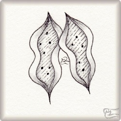 Muster Augusta von Elena Jiménez, ein Muster geeignet für Zentangle® and Zentangle® inspired art, präsentiert in der Musterquelle
