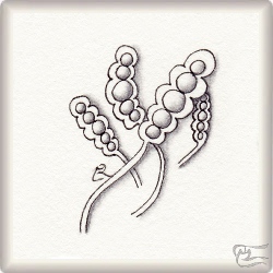 Muster Bubble Up von Barbara Duel-Johnson CZT, ein Muster geeignet für Zentangle® and Zentangle® inspired art, präsentiert in der Musterquelle