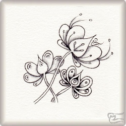 Muster Buds von Barbara Duel-Johnson CZT, ein Muster geeignet für Zentangle® and Zentangle® inspired art, präsentiert in der Musterquelle