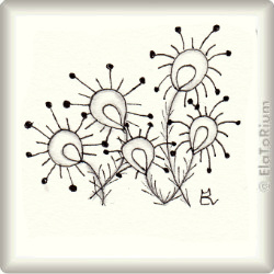 Zentangle-Pattern 'Coquess' by Simona Cordara, presented by www.musterquelle.de