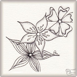Muster Dewey von Barbara Duel-Johnson CZT, ein Muster geeignet für Zentangle® and Zentangle® inspired art, präsentiert in der Musterquelle