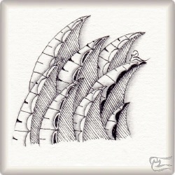Muster Finy von Isabelle Courbin CZT, ein Muster geeignet für Zentangle® and Zentangle® inspired art, präsentiert in der Musterquelle
