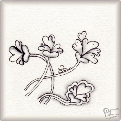 Muster HeartFelt von Barbara Duel-Johnson CZT, ein Muster geeignet für Zentangle® and Zentangle® inspired art, präsentiert in der Musterquelle