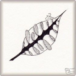 Muster Hojal von Gloria Sierra CZT, ein Muster geeignet für Zentangle® and Zentangle® inspired art, präsentiert in der Musterquelle