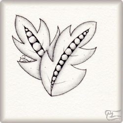 Muster Inapod Leaf von Almudena Mora Rodriguez CZT, ein Muster geeignet für Zentangle® and Zentangle® inspired art, präsentiert in der Musterquelle