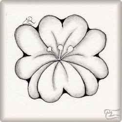 Muster Janina von Joanna Przepiorka CZT, ein Muster geeignet für Zentangle® and Zentangle® inspired art, präsentiert in der Musterquelle