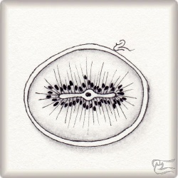 Muster Kiwin von Valentina Thor CZT, ein Muster geeignet für Zentangle® and Zentangle® inspired art, präsentiert in der Musterquelle