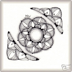 Muster LineLace von Reyes Galindo CZT, ein Muster geeignet für Zentangle® and Zentangle® inspired art, präsentiert in der Musterquelle