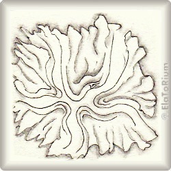 Muster Pfunds von Ela Rieger CZT, ein Muster geeignet für Zentangle® and Zentangle® inspired art, präsentiert in der Musterquelle