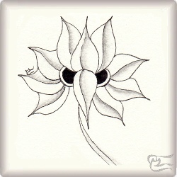 Muster Phicu von Yasmina Leiva CZT, ein Muster geeignet für Zentangle® and Zentangle® inspired art, präsentiert in der Musterquelle