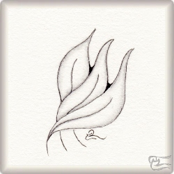 Muster Riquina von Carmen Varela Trigo CZT, ein Muster geeignet für Zentangle® and Zentangle® inspired art, präsentiert in der Musterquelle
