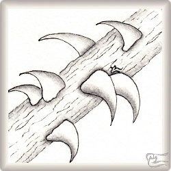 Muster RoTho von Regina Wenzel, ein Muster geeignet für Zentangle® and Zentangle® inspired art, präsentiert in der Musterquelle