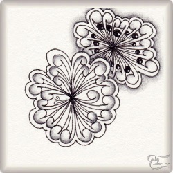 Muster Snüre von Ingrid Scheidt CZT, ein Muster geeignet für Zentangle® and Zentangle® inspired art, präsentiert in der Musterquelle
