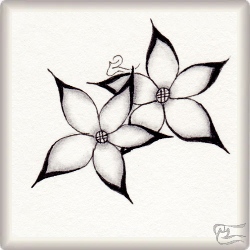 Muster Sonila von Barbara Duel-Johnson CZT, ein Muster geeignet für Zentangle® and Zentangle® inspired art, präsentiert in der Musterquelle