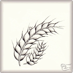 Muster Triticum von Yasmina Leiva CZT, ein Muster geeignet für Zentangle® and Zentangle® inspired art, präsentiert in der Musterquelle