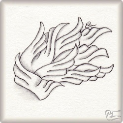 Muster WingsDra von Pere Cobo CZT, ein Muster geeignet für Zentangle® and Zentangle® inspired art, präsentiert in der Musterquelle