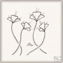 Muster Ababol von María Concepción Pérez Vázquez CZT, ein Muster geeignet für Zentangle® and Zentangle® inspired art, präsentiert in der Musterquelle