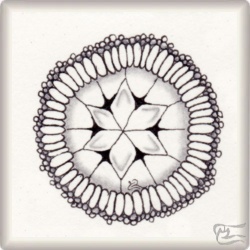 Muster Algae von Kathrin Burmeister CZT, ein Muster geeignet für Zentangle® and Zentangle® inspired art, präsentiert in der Musterquelle