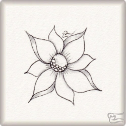 Muster Anthus von Maria José Torrado CZT, ein Muster geeignet für Zentangle® and Zentangle® inspired art, präsentiert in der Musterquelle
