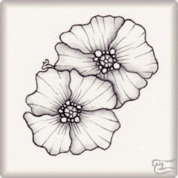 Muster Azag von Carmen Varela Trigo CZT, ein Muster geeignet für Zentangle® and Zentangle® inspired art, präsentiert in der Musterquelle