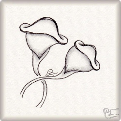 Muster Bluma von Reyes Galindo CZT, ein Muster geeignet für Zentangle® and Zentangle® inspired art, präsentiert in der Musterquelle