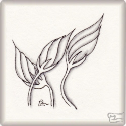 Muster Bocciolo von Susanna A. Redaelli CZT, ein Muster geeignet für Zentangle® and Zentangle® inspired art, präsentiert in der Musterquelle