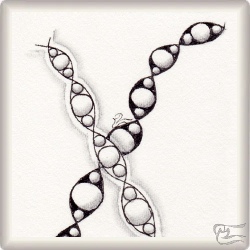 Muster Bubbleline von Susanne Oetzel, ein Muster geeignet für Zentangle® and Zentangle® inspired art, präsentiert in der Musterquelle