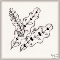 Muster Calatea von Susanna A. Redaelli CZT, ein Muster geeignet für Zentangle® and Zentangle® inspired art, präsentiert in der Musterquelle