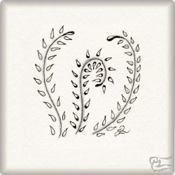 Muster Heli von Maria José Torrado CZT, ein Muster geeignet für Zentangle® and Zentangle® inspired art, präsentiert in der Musterquelle