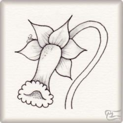Muster Hestia von Nereyda Ramon CZT, ein Muster geeignet für Zentangle® and Zentangle® inspired art, präsentiert in der Musterquelle