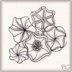 Muster Hexafleur Series von Celine Micout CZT, ein Muster geeignet für Zentangle® and Zentangle® inspired art, präsentiert in der Musterquelle