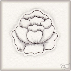 Muster Lillyflow von Stefanie van Leeuwen CZT, ein Muster geeignet für Zentangle® and Zentangle® inspired art, präsentiert in der Musterquelle