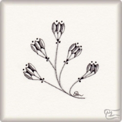 Muster Najapow von Nadine Roller CZT, ein Muster geeignet für Zentangle® and Zentangle® inspired art, präsentiert in der Musterquelle