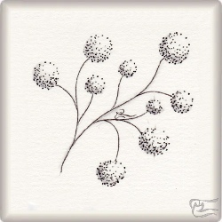 Muster Nandini von Elisabet Hillerud CZT, ein Muster geeignet für Zentangle® and Zentangle® inspired art, präsentiert in der Musterquelle