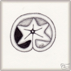 Muster Narz von Belén García CZT, ein Muster geeignet für Zentangle® and Zentangle® inspired art, präsentiert in der Musterquelle
