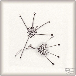 Muster NoNom von Juliette Fiessinger CZT, ein Muster geeignet für Zentangle® and Zentangle® inspired art, präsentiert in der Musterquelle