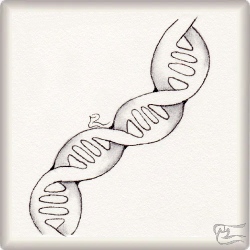 Muster Nucleo von Melanie Marty CZT, ein Muster geeignet für Zentangle® and Zentangle® inspired art, präsentiert in der Musterquelle