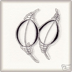 Muster OMG von Paz Munoz Camacho CZT, ein Muster geeignet für Zentangle® and Zentangle® inspired art, präsentiert in der Musterquelle