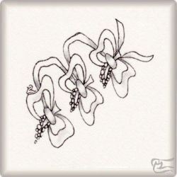 Muster Pipo von Carmen Muñiz Real CZT, ein Muster geeignet für Zentangle® and Zentangle® inspired art, präsentiert in der Musterquelle