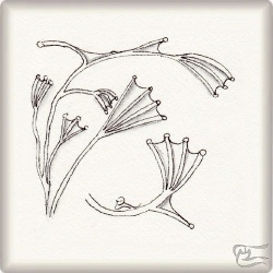 Muster Pouak von Kim Mouzon CZT, ein Muster geeignet für Zentangle® and Zentangle® inspired art, präsentiert in der Musterquelle