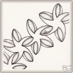 Muster Star Aniz von Carla Jooren CZT, ein Muster geeignet für Zentangle® and Zentangle® inspired art, präsentiert in der Musterquelle