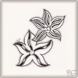 Muster StarRite von Nina Dreher-Göddertz CZT, ein Muster geeignet für Zentangle® and Zentangle® inspired art, präsentiert in der Musterquelle