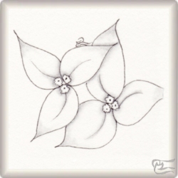 Muster Suki von Cristina Fernández Martín, ein Muster geeignet für Zentangle® and Zentangle® inspired art, präsentiert in der Musterquelle