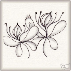 Muster Tchao von Melanie Marty CZT, ein Muster geeignet für Zentangle® and Zentangle® inspired art, präsentiert in der Musterquelle