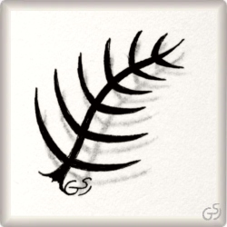 Muster Whitster von Barbara Duel-Johnson CZT, ein Muster geeignet für Zentangle® and Zentangle® inspired art, präsentiert in der Musterquelle