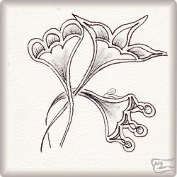 Muster Yeya von Nereyda Ramon CZT, ein Muster geeignet für Zentangle® and Zentangle® inspired art, präsentiert in der Musterquelle