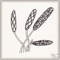 Muster Zeppelin von Birgit Heinze CZT, ein Muster geeignet für Zentangle® and Zentangle® inspired art, präsentiert in der Musterquelle
